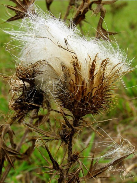 Фотовиставка Тетяни Должко